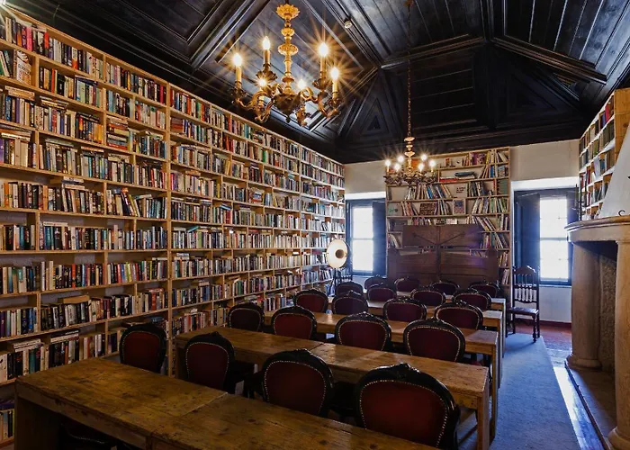 The Literary Man Óbidos