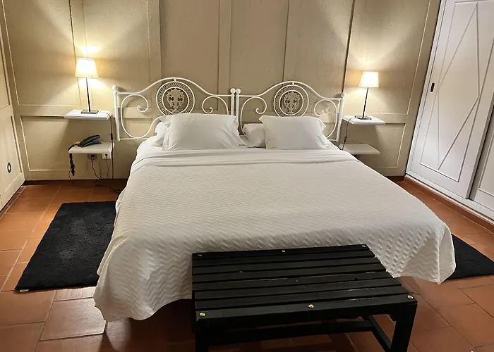 The Literary Man Óbidos